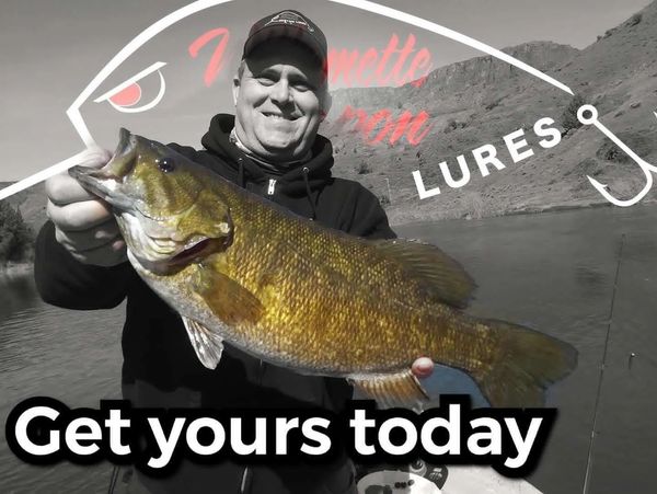 Large Smallmouth bass