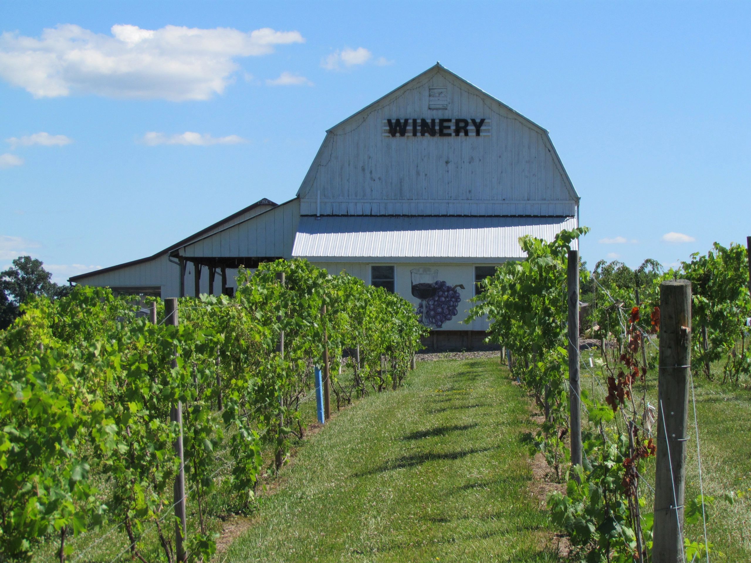 Book The Barn Izzo S White Barn Winery