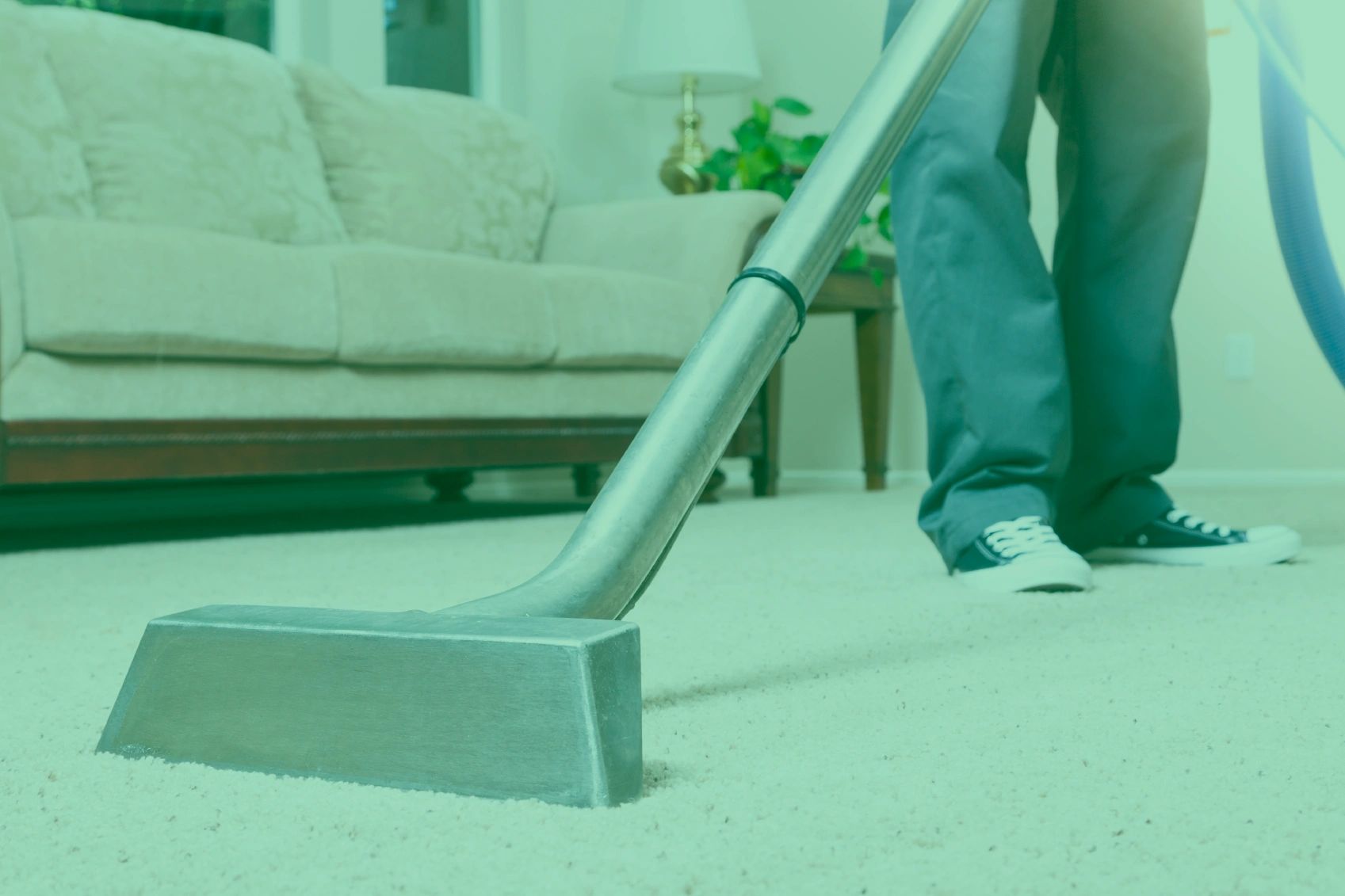 Immaculate Carpet Cleaning Services