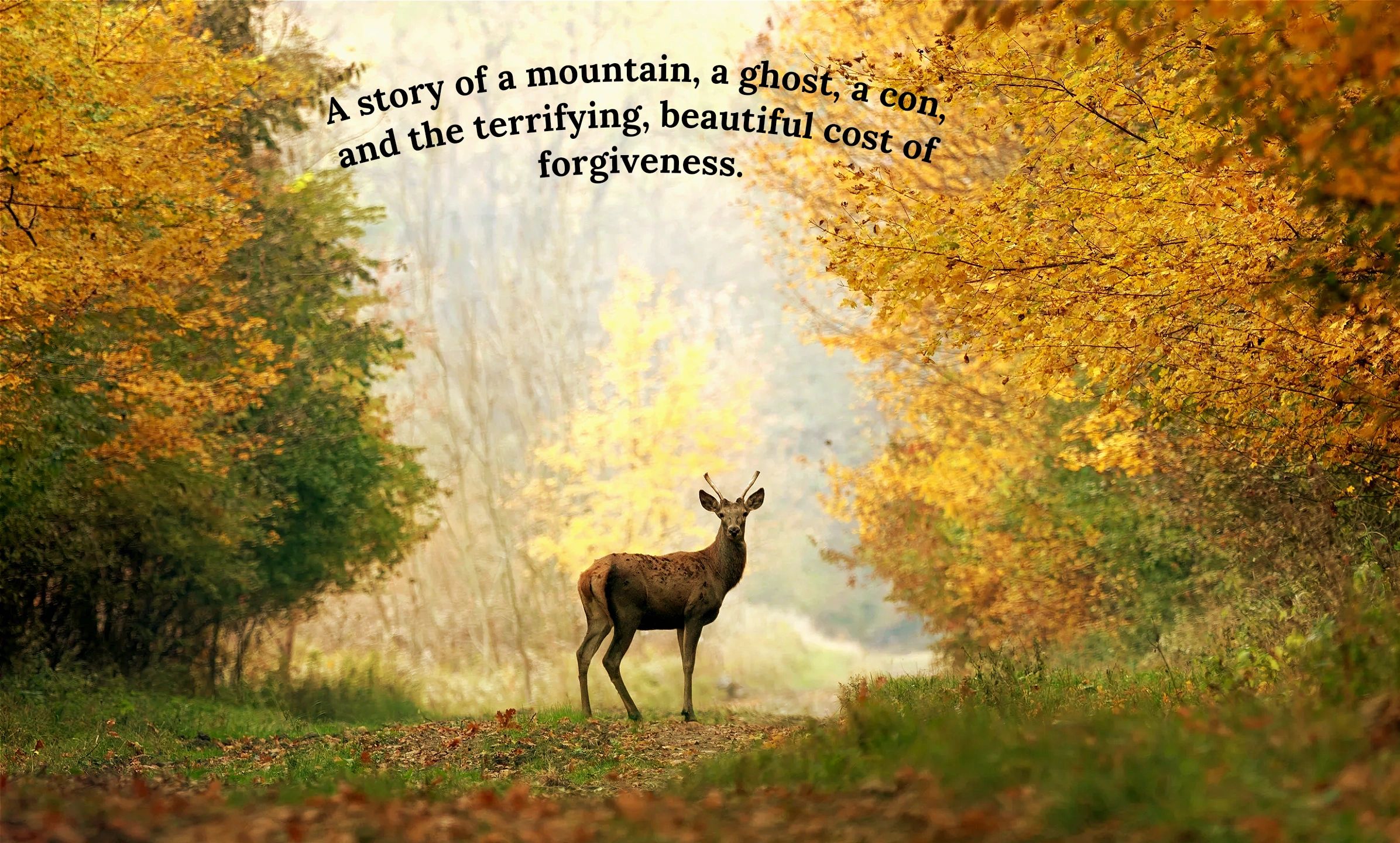 Deer in forest