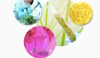 Nrf2 Protandim Stem Cells Skin Care Healthy Skin, Moisturizer