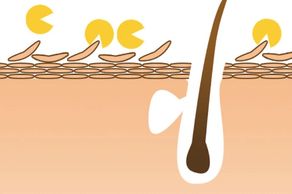 Alpha Hydroxy Acids, AHA's, Nrf2, Healthy Skin