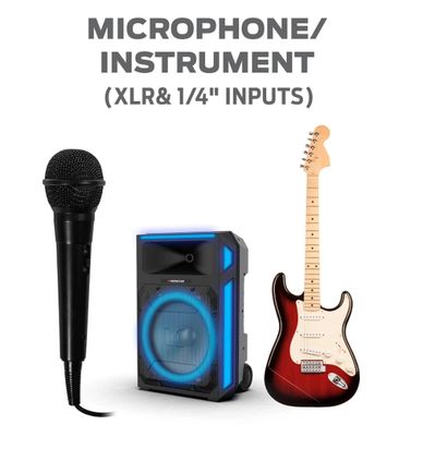 Microphone, speaker, and electric guitar with input types shown.