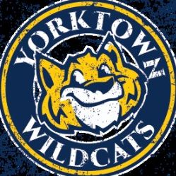 whiskers the wildcat logo