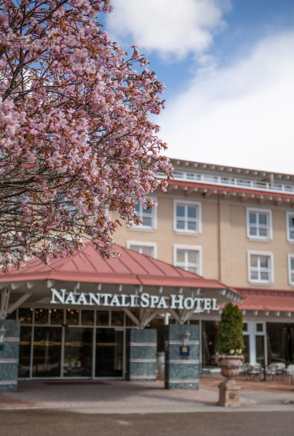 Cherry blossoms in front of Naantali Spa Hotel.