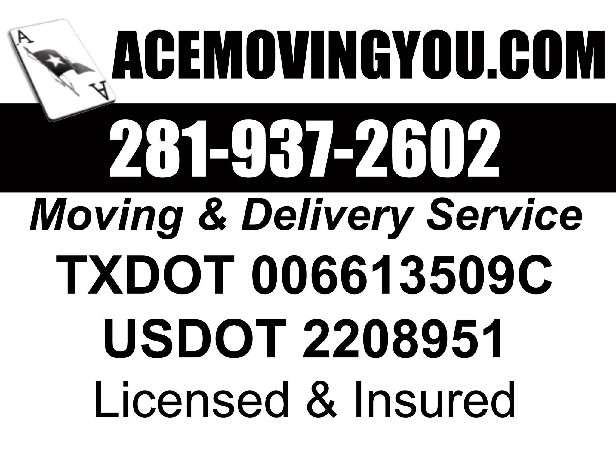 acemovingyou.com acemovingyou.com