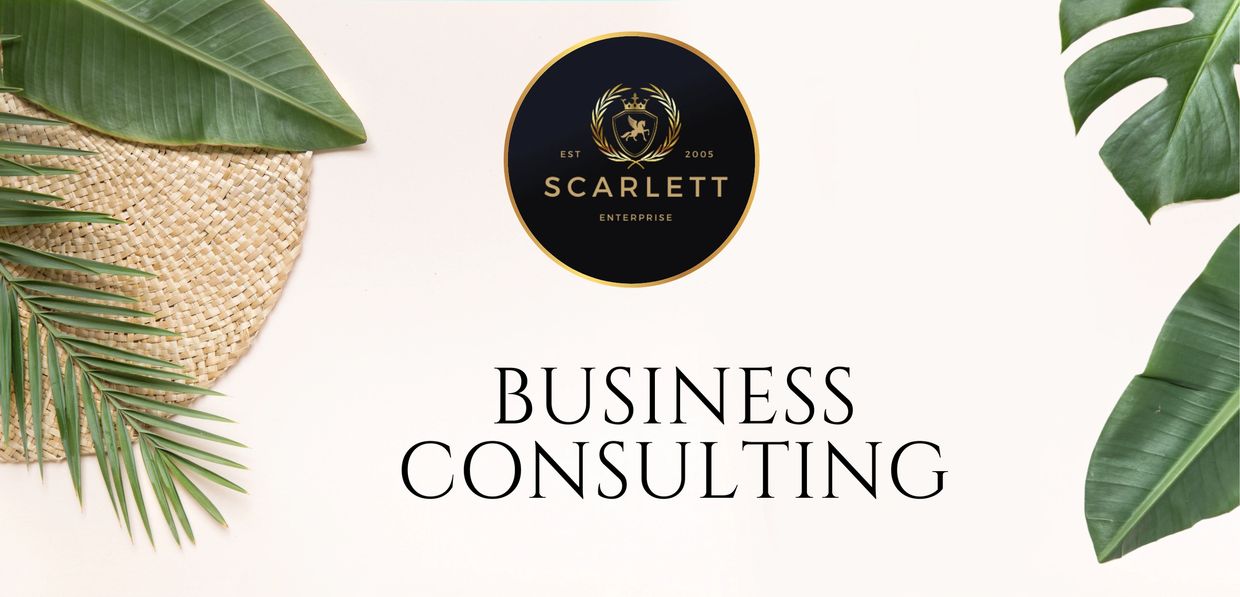 business consulting coaching mentoring by scarlett enterprise start-up small biz one-to-one 1:1 oahu