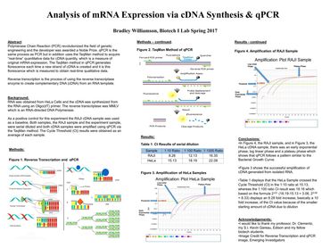 An image of some of Bradley Williamson's initial research in biotechnology.