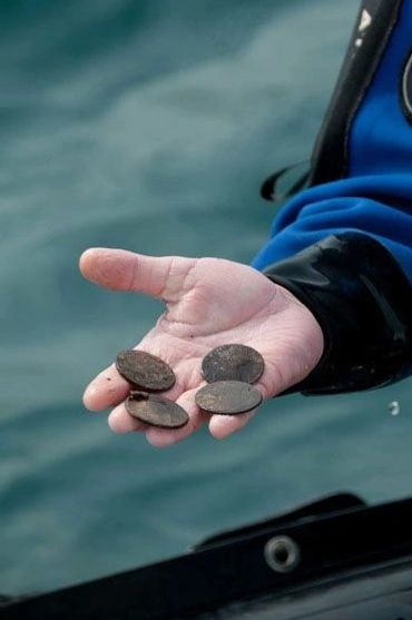 Bradley Williamson with silver coins from shipwreck in Canada.