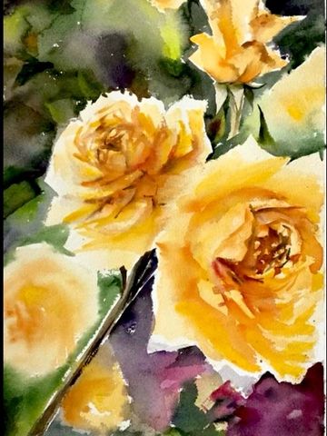 Yellow roses against dark green leaves and branch