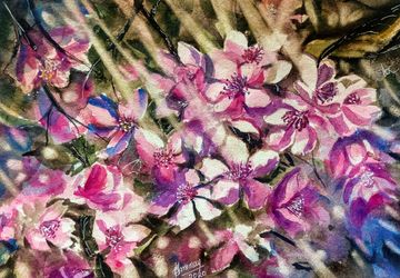 Bunches of Pink sunlit  flowers