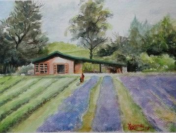Painting of  a cottage with trees in the background and lavender fields in the foreground