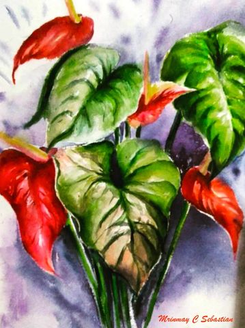 Four Red anthurium flowers and green leaves