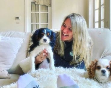 Woman holding two Cavalier King Charles dogs