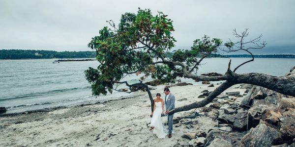 Bride and groom posing on the beach on Peaks Island bride is sitting on a tree branch