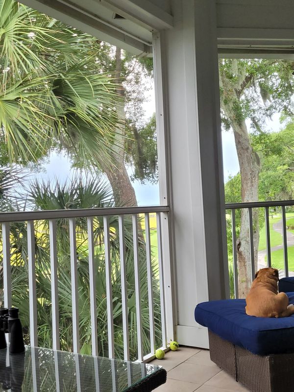 Relaxing on the porch people watching