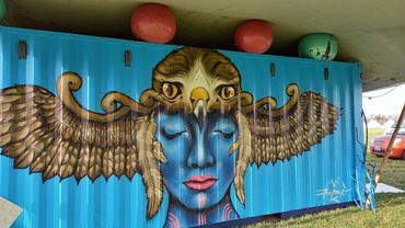 Art at NZ Spirit Festival Auckland