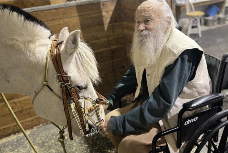 Horse Dentistry