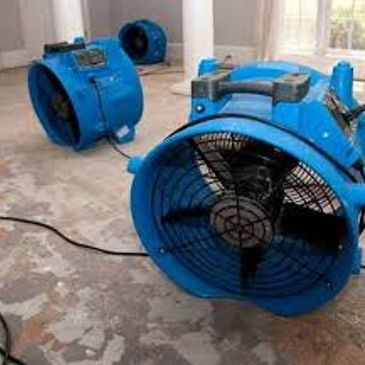 floor fan dry out