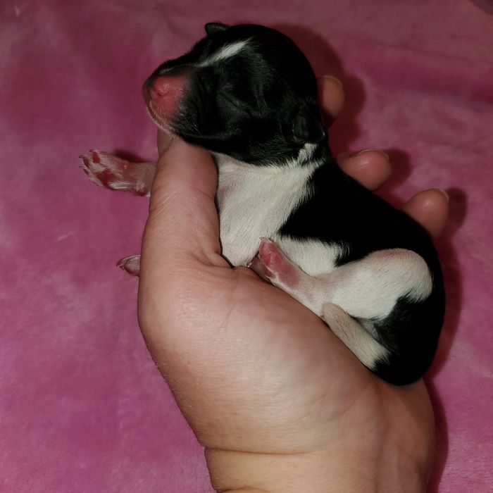 image1497