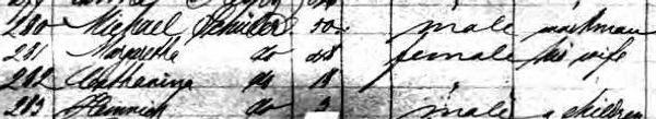 Handwritten census record with names and gender.