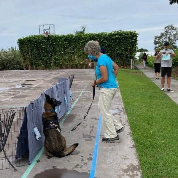 Cobra, our COVID-19 detection canine, and her team screening masks at a charter school in Hawaii.