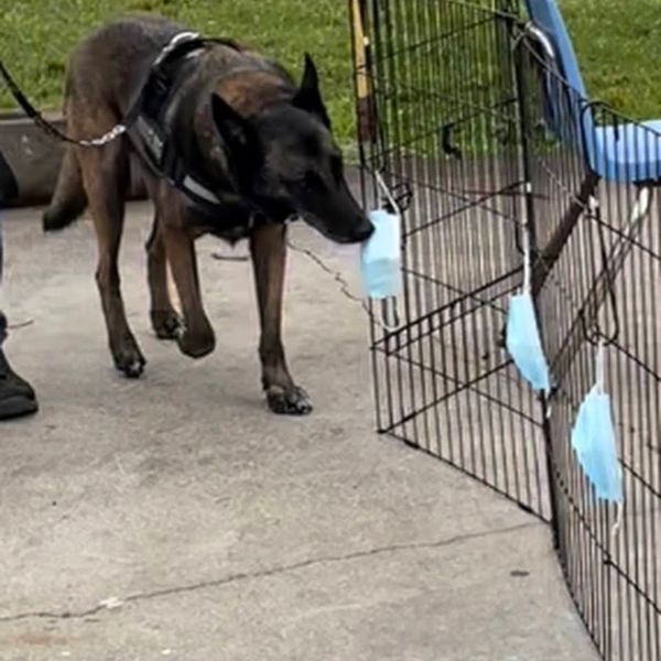 Innovative Detection Concepts (iDC) is excited to share our work with three public charter schools i