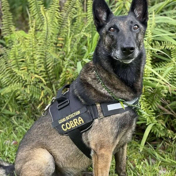 Innovative Detection Concepts (iDC) is excited to share our work with three public charter schools i