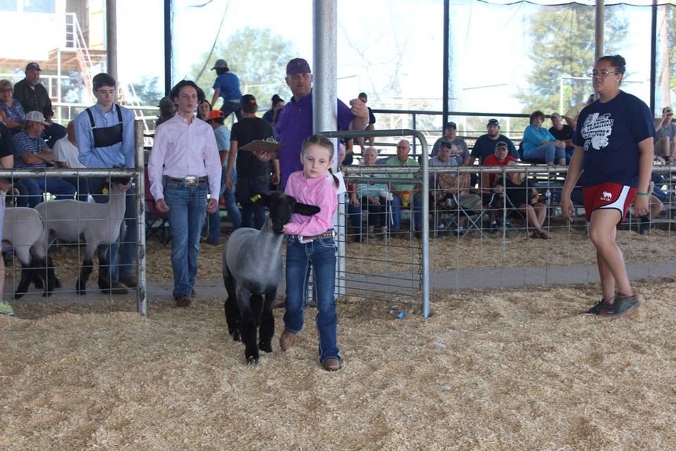 Tyler County Fair