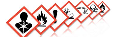 Workplace Occupational Health & Safety Training and Consulting ~ The Safety Cat