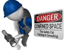 Workplace Occupational Health & Safety Training and Consulting ~ The Safety Cat