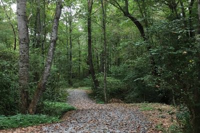 Hawks Hill Walking Trail and Park

