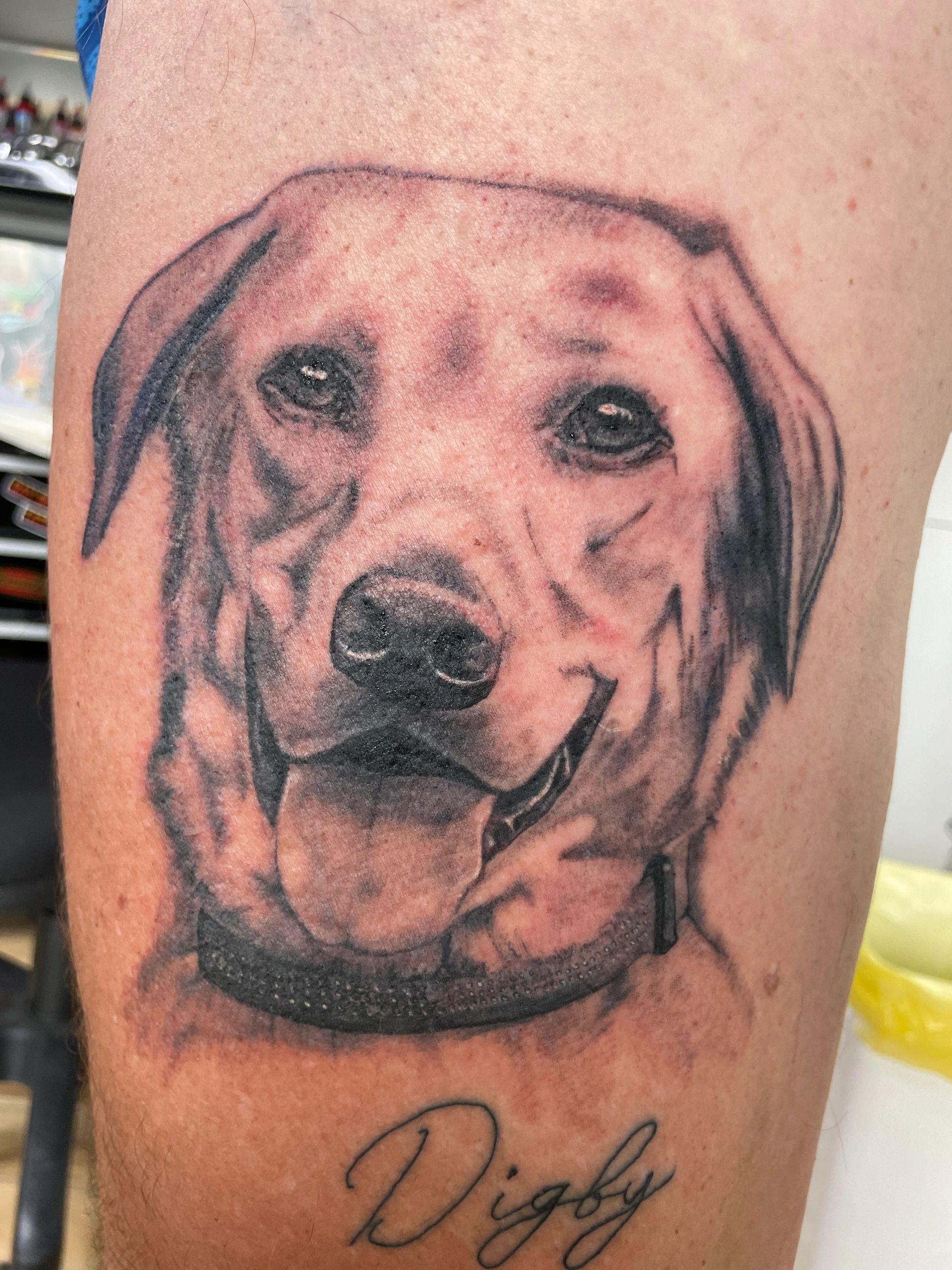 Dog portrait tattoo in black and grey 
