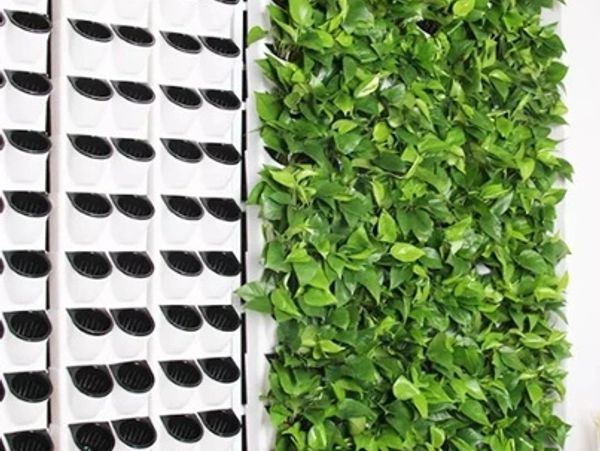 vertical biophilic green wall