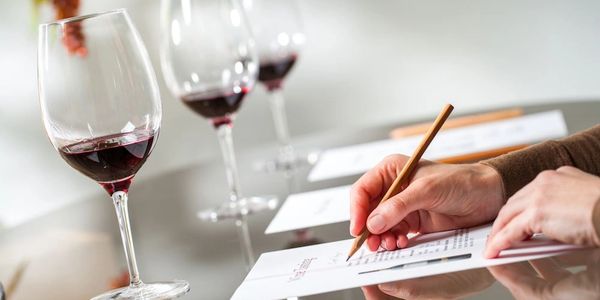 Vinkurs hos Wine and Spirits i Skåne med vinglas på bordet