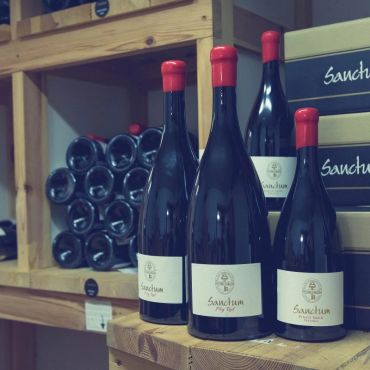 Många flaskor för lagring hos Sanctum wine