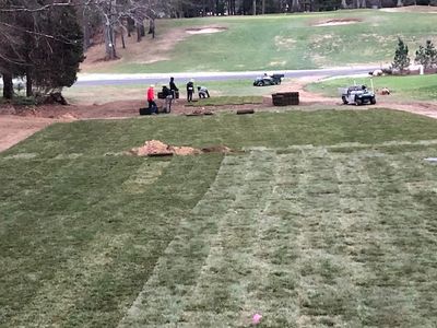 Workers laying fresh sod on a golf course fairway.