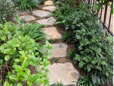 This small front garden has been transformed with the use of natural shaped Kanmantoo Bluestone.