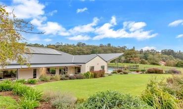 Lawn and surrounding mixed plantings in the Adelaide Hills, Designed by Matt Lenzi Landscapes.
