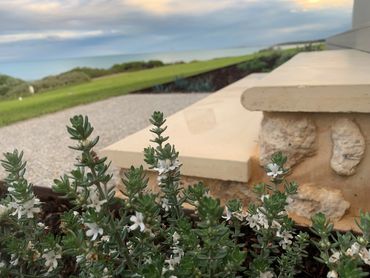Random Limestone steps with concrete bullnose treads inviting you down to the lush lawn below.