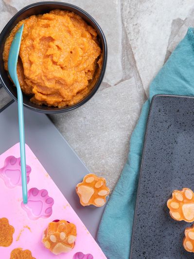 Cooking setup with pumpkin in a bowl next to silicone molds with paw print treats ready to be eaten!