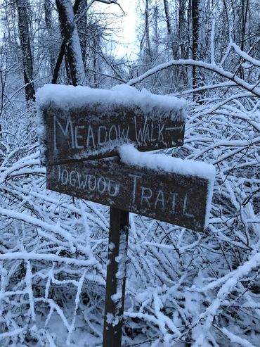 Nature therapy in Lancaster is about appreciating the wonder!