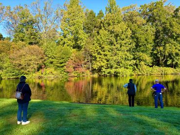 Nature therapy at Longwood Gardens pond.