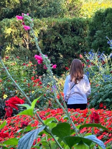 Beauty surrounds us all the time in nature therapy--espcially at Longwood Gardens.