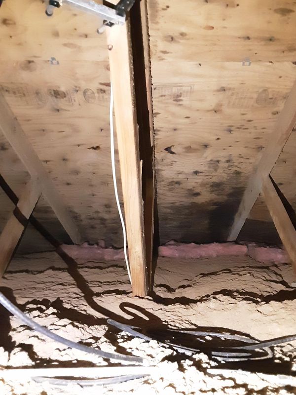 home inspection attic Sandusky ohio