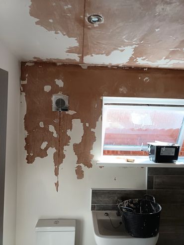 Before- Severe Mould & Flaking Damage