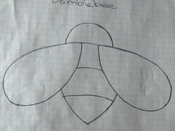 Simple line drawing of a bee on graph paper.