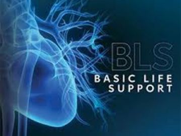 Basic Life Support for Healthcare Providers