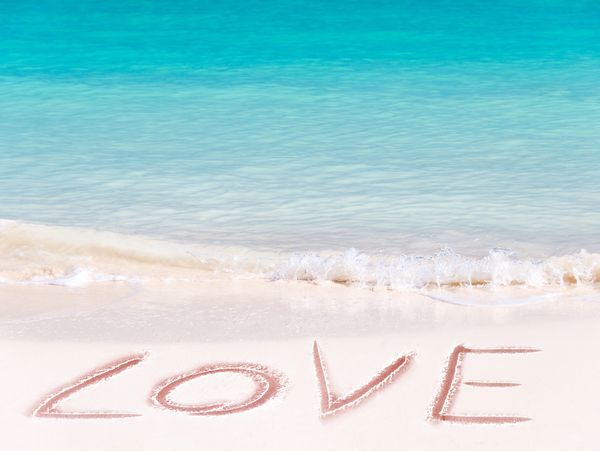 P&O CRUISE ROYAL CARIBBEAN CRUISE CELEBRITY CRUISE NORWEGAIN CRUISE MSC CRUISE GROUP CRUISE MICE