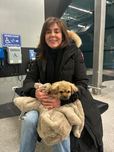 Woman in black coat holding a small dog wrapped in a blanket indoors.